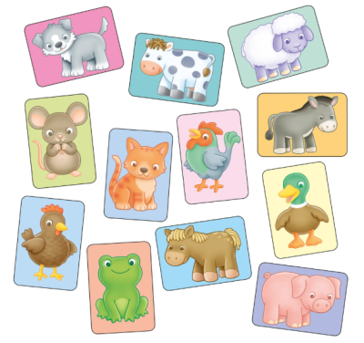 Image 2 of See and Sound giant flashcards (£10.99)